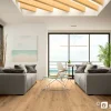 ⁦IBIZA WF182⁩ – תמונה ⁦2⁩